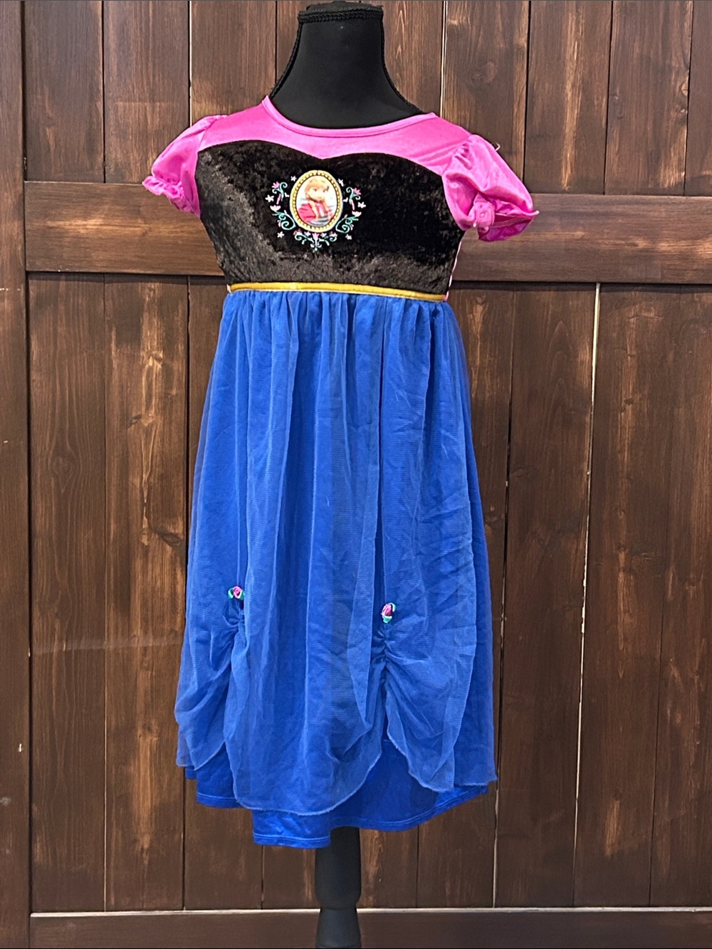 Disney Pink, Black and Blue Princess Theater Dress